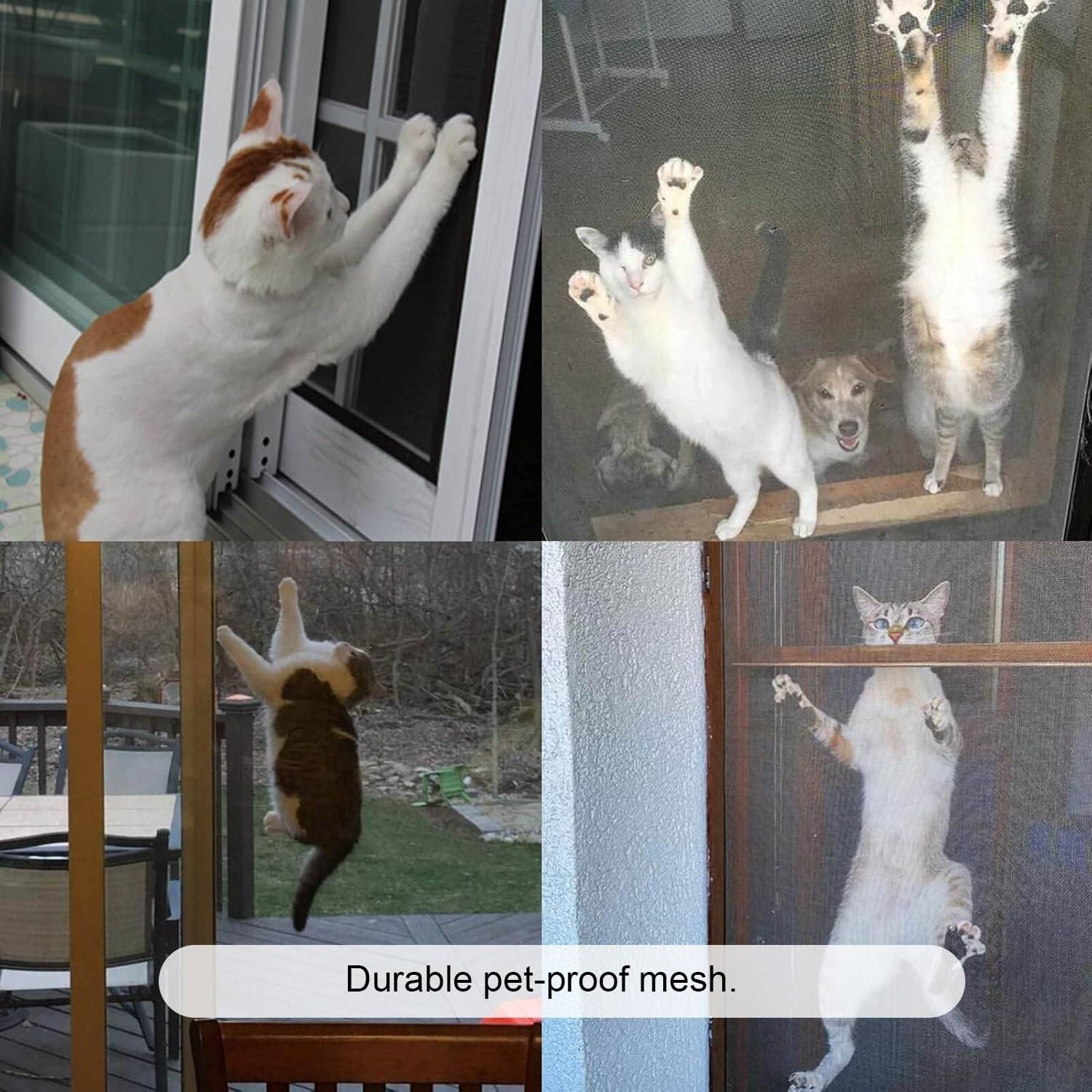 best cat proof flyscreen