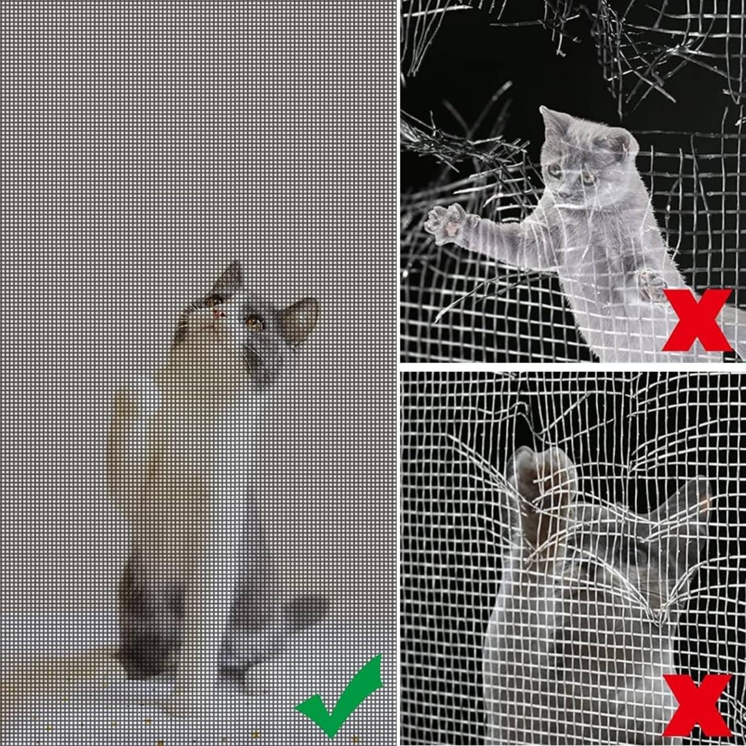best cat proof insect screen
