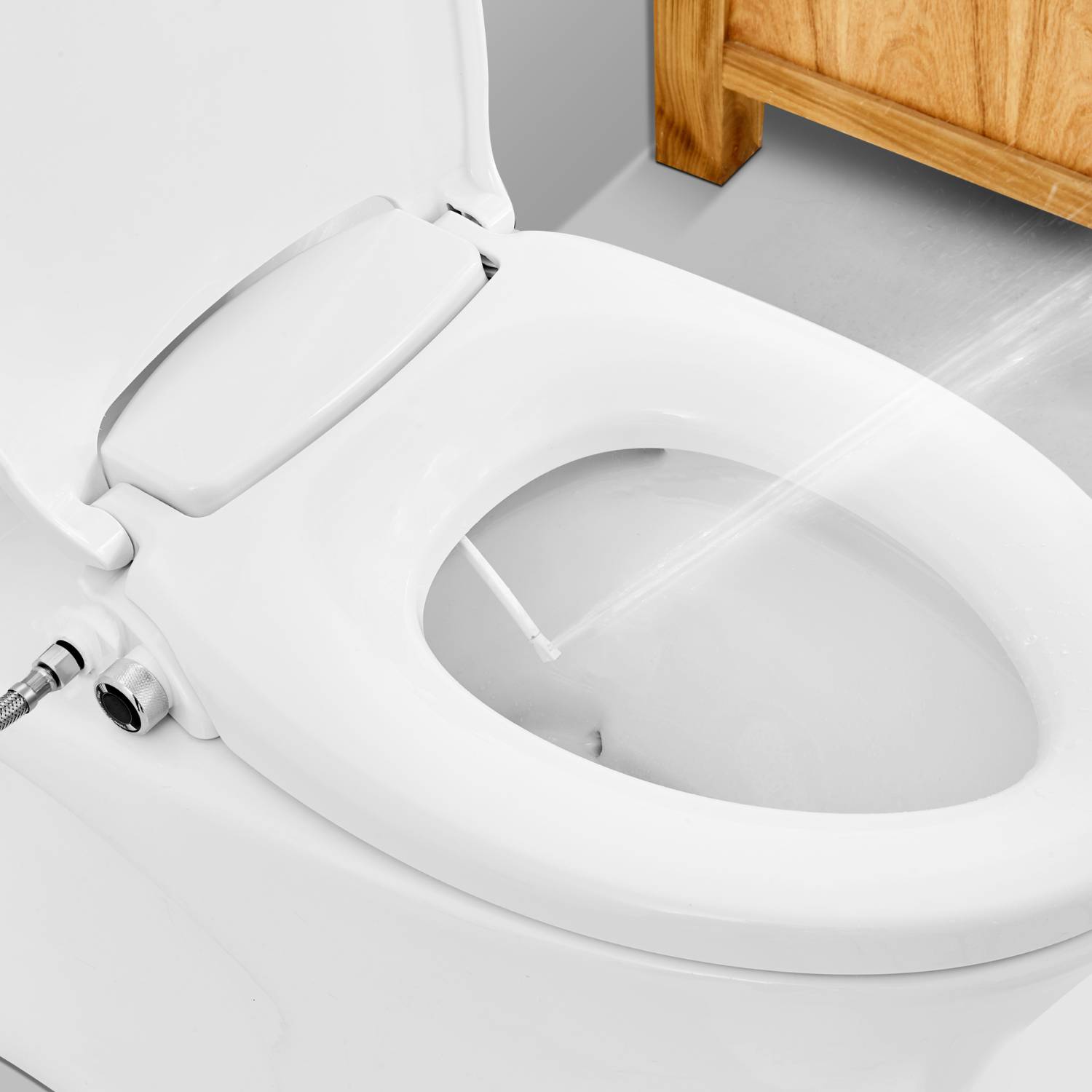 Bidet For The Toilet: image 1