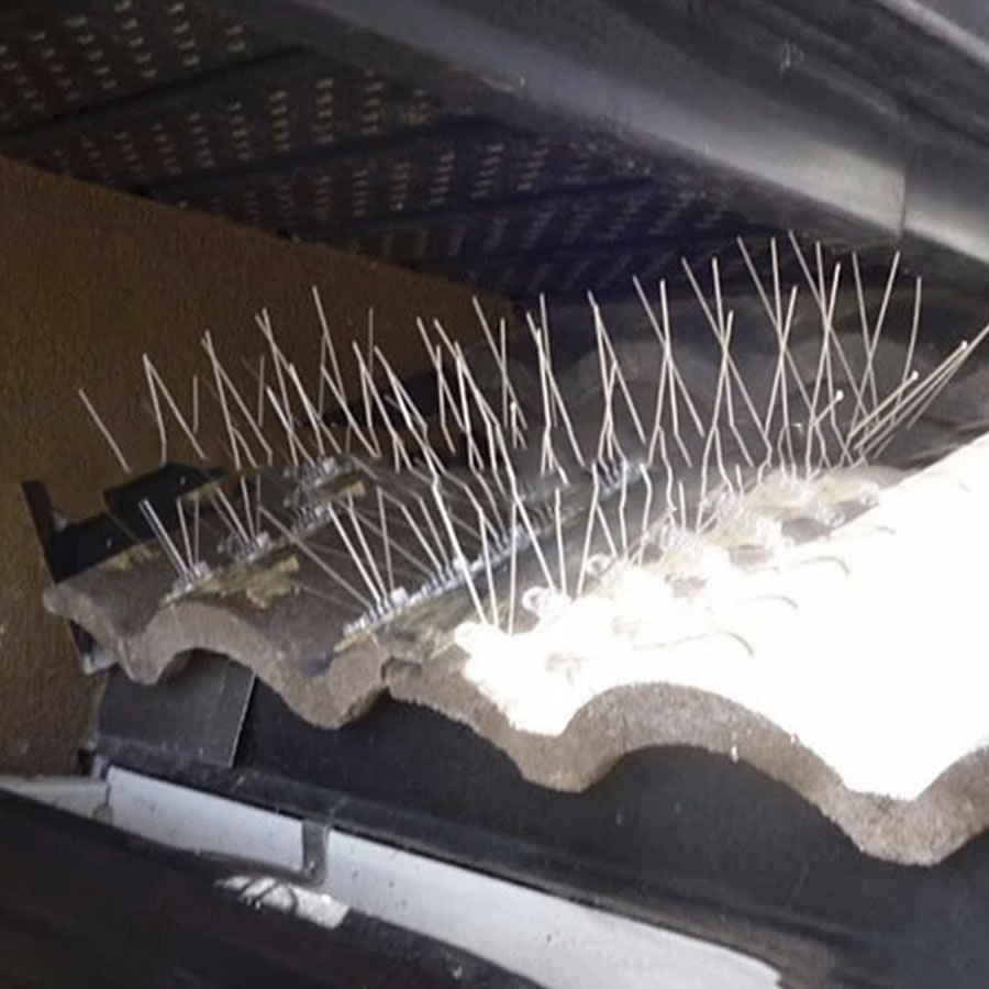 Bird Spikes | Bird Control Spikes | Bird Deterrent Spikes (per metre): image 5