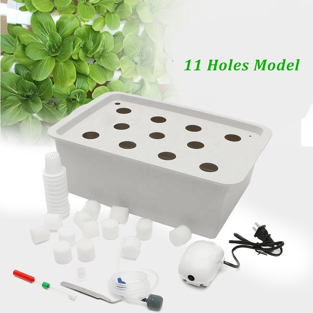 Deep Water Culture Hydroponic System: image 4