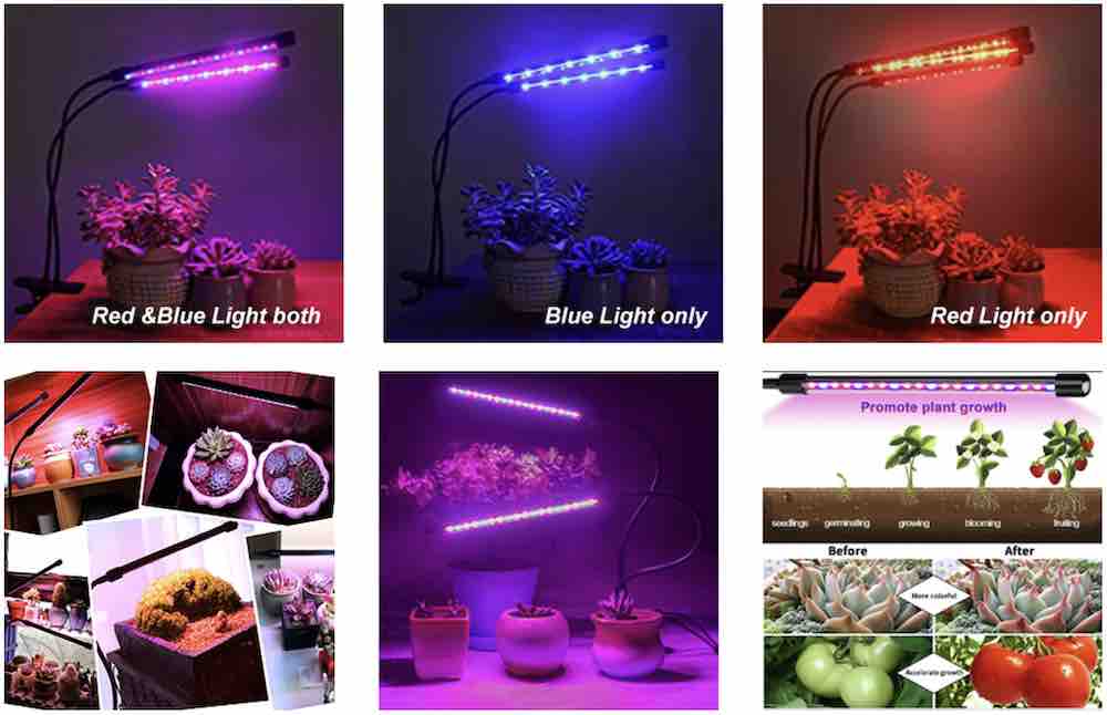 LED Grow Light