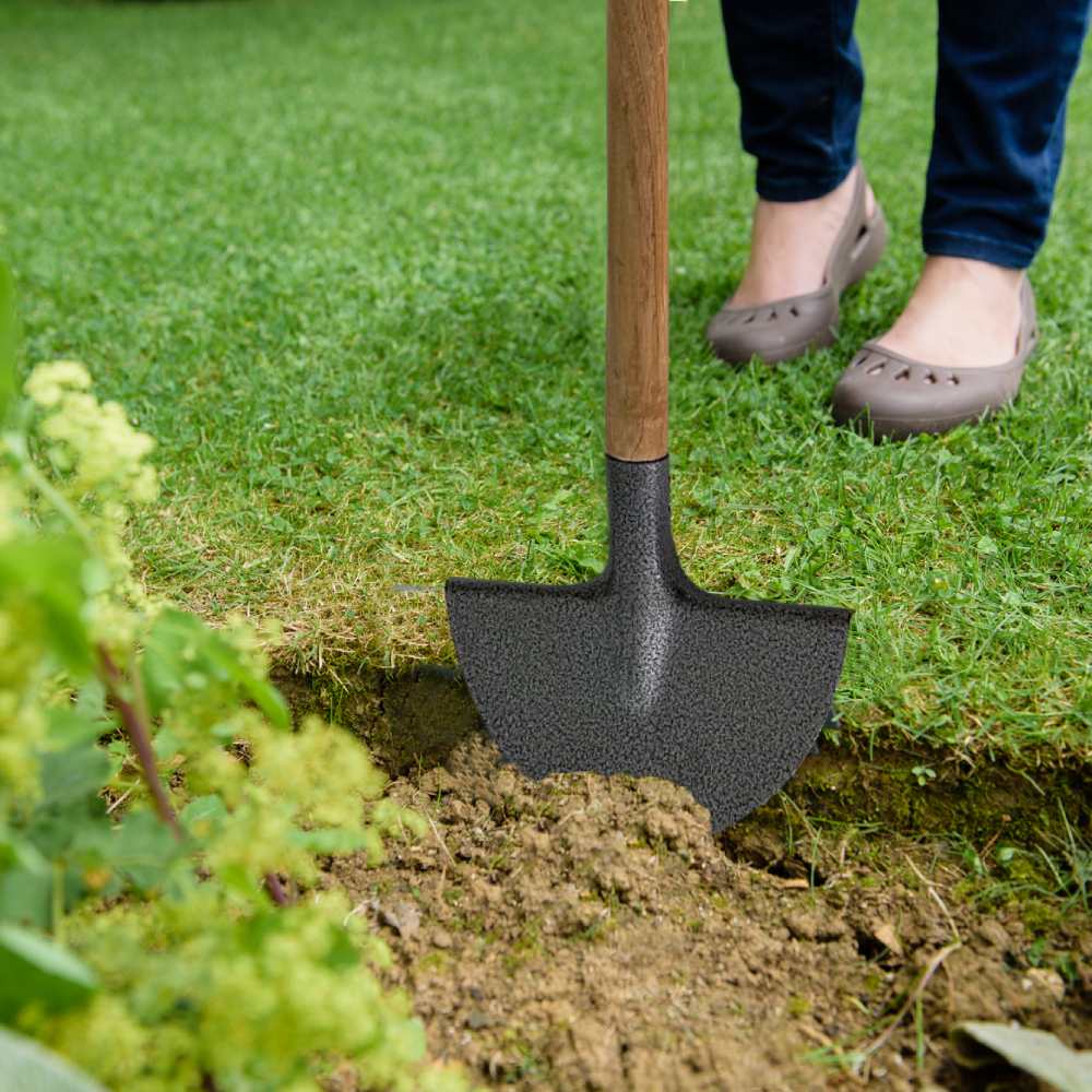 Half Moon Shovel: image 8